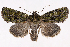  ( - 2011GM-0590)  @14 [ ] Copyright (2011) Gary McDonald Unspecified