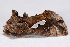  ( - 2011GM-0599)  @12 [ ] Copyright (2011) Gary McDonald Unspecified