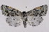  ( - 2011GM-0600)  @14 [ ] Copyright (2011) Gary McDonald Unspecified