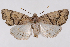  ( - 2011GM-0605)  @15 [ ] Copyright (2011) Gary McDonald Unspecified