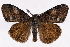  ( - 2011GM-0613)  @14 [ ] Copyright (2011) Gary McDonald Unspecified
