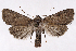  ( - 2011GM-0617)  @14 [ ] Copyright (2011) Gary McDonald Unspecified