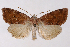  ( - 2011GM-0620)  @15 [ ] Copyright (2011) Gary McDonald Unspecified