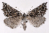  ( - 2011GM-0621)  @14 [ ] Copyright (2011) Gary McDonald Unspecified