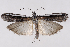  ( - 2011GM-0629)  @13 [ ] Copyright (2011) Gary McDonald Unspecified