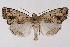  ( - 2011GM-0631)  @15 [ ] Copyright (2011) Gary McDonald Unspecified