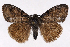  ( - 2011GM-0640)  @14 [ ] Copyright (2011) Gary McDonald Unspecified