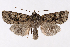  ( - 2011GM-0646)  @14 [ ] Copyright (2011) Gary McDonald Unspecified