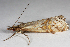  ( - 2011GM-0670)  @12 [ ] Copyright (2011) Gary McDonald Unspecified