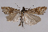  ( - 2011GM-0670)  @13 [ ] Copyright (2011) Gary McDonald Unspecified