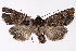  ( - 2011GM-0677)  @14 [ ] Copyright (2011) Gary McDonald Unspecified