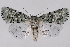  ( - 2011GM-0684)  @14 [ ] Copyright (2011) Gary McDonald Unspecified
