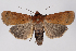  ( - 2011GM-0687)  @13 [ ] Copyright (2011) Gary McDonald Unspecified