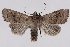  ( - 2011GM-0700)  @14 [ ] Copyright (2011) Gary McDonald Unspecified