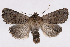  ( - 2011GM-0701)  @15 [ ] Copyright (2011) Gary McDonald Unspecified