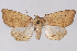  ( - 2011GM-0709)  @15 [ ] Copyright (2011) Gary McDonald Unspecified