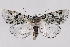  ( - 2011GM-0712)  @14 [ ] Copyright (2011) Gary McDonald Unspecified