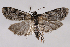  ( - 2011GM-0715)  @14 [ ] Copyright (2011) Gary McDonald Unspecified