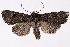  ( - 2011GM-0717)  @14 [ ] Copyright (2011) Gary McDonald Unspecified
