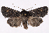  ( - 2011GM-0719)  @14 [ ] Copyright (2011) Gary McDonald Unspecified