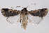  ( - 2011GM-0768)  @14 [ ] Copyright (2011) Gary McDonald Unspecified
