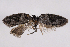  ( - 2011GM-0785)  @14 [ ] Copyright (2011) Gary McDonald Unspecified