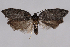  ( - 2011GM-0789)  @13 [ ] Copyright (2011) Gary McDonald Unspecified