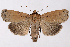  ( - 2011GM-0800)  @13 [ ] Copyright (2011) Gary McDonald Unspecified