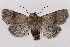  ( - 2011GM-0803)  @15 [ ] Copyright (2011) Gary McDonald Unspecified