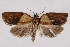  ( - 2011GM-0818)  @14 [ ] Copyright (2011) Gary McDonald Unspecified