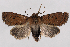  ( - 2011GM-0821)  @13 [ ] Copyright (2011) Gary McDonald Unspecified