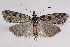  ( - 2011GM-0825)  @14 [ ] Copyright (2011) Gary McDonald Unspecified