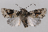  ( - 2011GM-0830)  @14 [ ] Copyright (2011) Gary McDonald Unspecified