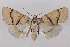 ( - 2011GM-0842)  @15 [ ] Copyright (2011) Gary McDonald Unspecified