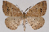 ( - 2011GM-0873)  @14 [ ] Copyright (2011) Gary McDonald Unspecified