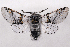  ( - 2011GM-0916)  @14 [ ] Copyright (2011) Gary McDonald Unspecified