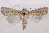  ( - 2011GM-0929)  @13 [ ] Copyright (2011) Gary McDonald Unspecified