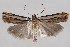  ( - 2011GM-0933)  @14 [ ] Copyright (2011) Gary McDonald Unspecified