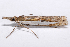  ( - 2011GM-0946)  @13 [ ] Copyright (2011) Gary McDonald Unspecified