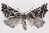  ( - 2011GM-0947)  @15 [ ] Copyright (2011) Gary McDonald Unspecified