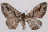  ( - 2011GM-0955)  @14 [ ] Copyright (2011) Gary McDonald Unspecified