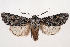 ( - 2012GM-0002)  @14 [ ] Copyright (2012) Gary McDonald Unspecified