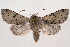  ( - 2012GM-0003)  @15 [ ] Copyright (2012) Gary McDonald Unspecified