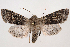  ( - 2012GM-0004)  @14 [ ] Copyright (2012) Gary McDonald Unspecified