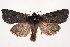  ( - 2012GM-0006)  @14 [ ] Copyright (2012) Gary McDonald Unspecified