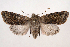 ( - 2012GM-0007)  @15 [ ] Copyright (2012) Gary McDonald Unspecified