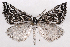  ( - 2012GM-0009)  @15 [ ] Copyright (2012) Gary McDonald Unspecified