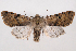  ( - 2012GM-0011)  @15 [ ] Copyright (2012) Gary McDonald Unspecified