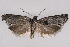  ( - 2012GM-0016)  @14 [ ] Copyright (2012) Gary McDonald Unspecified