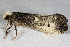  ( - 2012GM-0128)  @13 [ ] CreativeCommons - Attribution Non-Commercial Share-Alike (2012) Gary McDonald Unspecified